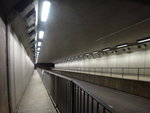 穿隧道
DSC07956