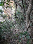 穿林上山
DSC00586