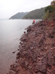 鳳凰笏綑岸, 要綑至最遠的咀位前灣中入澗大休
DSC00648