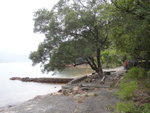 經一荒廢小碼頭, 這裏可能以前是養珠場
DSC00651
