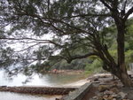 DSC00652