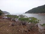 DSC00675