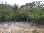 DSC00679