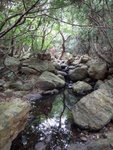 DSC00688