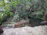 DSC00700
