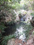 DSC00705
