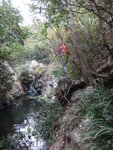 DSC00706