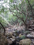 DSC00707
