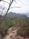 船灣淡水湖郊遊徑
DSC00726