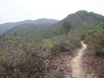 DSC00729