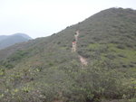 DSC00735