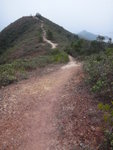 又要上山
DSC00736