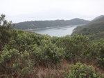 老虎笏
DSC00748