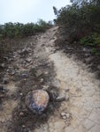 "15:45", 家陣"16:11", 唔係差好遠哩, 努力, 加油
DSC00749