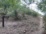 我地由鹿湖峒方向來, 其實是鳳凰笏
DSC00750
