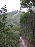 前望上山路
DSC00765