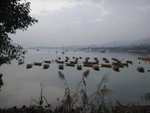 DSC00818