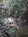 便接入澗
DSC01419