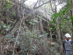 橋面是盧吉道, 抵橋下便往右走
DSC01592