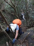 接走橋下林中棧道, 目的地是太平山北坡
DSC01596