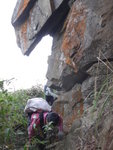 林中棧道落太平山北坡
DSC01613