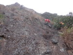 林中棧道落太平山北坡
DSC01625
