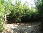 石級頂見左邊竹林口有此路不通路牌, 其實可以穿竹林往金龍脊, 落谷埔或鹿頸. 大隊轉右
DSC07452