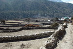 Pangboche (3930m)
04NL0225