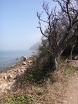 DSC02460