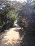 走了一大段泥路終於接石屎路
DSC02468