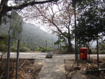 到馬路 - 深屈路
DSC02473