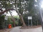 分岔路, 直去碼頭, 右去東涌, 緊係轉右啦
DSC02557