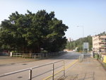 出東涌道轉右再過馬路
DSC02950