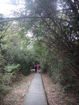 離散頭村繼續東大古道
DSC03042