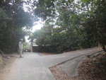 至坳頂右邊有條路
DSC03057