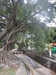 沙螺坑口水渠, 不要這裏入澗, 會好密
DSC03065
