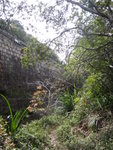 好快便見左邊有一石牆, 牆頂應該是通往陽明山莊的大潭水塘道
DSC03510