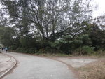 原來仍是金督馳馬徑, 轉右前行
DSC03715