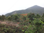 路中右望見小馬山
DSC03743