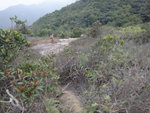 DSC03749