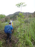 過田地後開始穿草叢上山
DSC04010