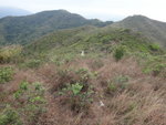 DSC04019
