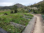 有路過左邊, 路邊好多小白花
DSC04046
