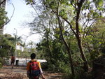今次唔入坑而右出馬路, 有鐵絲網&#22083;
DSC04508