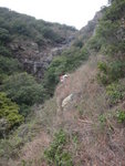 山路中左望飛流瀑壁
DSC04956