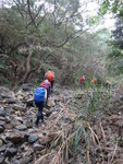 過水壩繼續上溯馬大石澗
DSC05809