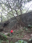 DSC05810