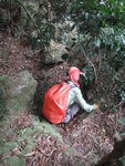 再右入林中亦有路可上, 比較安全
DSC06017