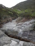 仍可沿澗前走少少, 或乾脆接山路
DSC06026