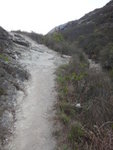 接山路後回望在壁頂的牛仔
DSC06027
